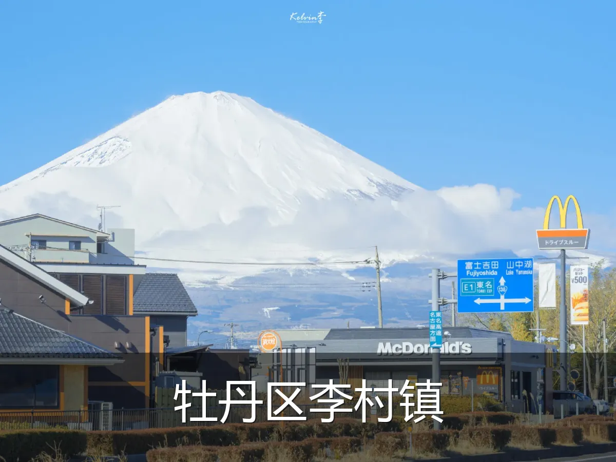 牡丹区李村镇