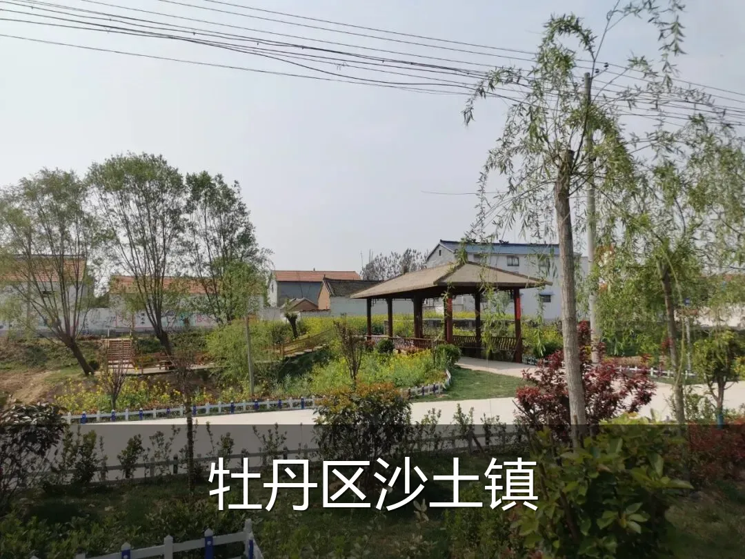 牡丹区沙土镇