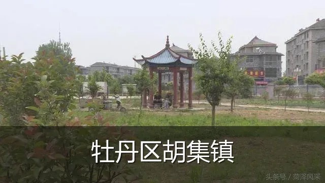 牡丹区胡集镇