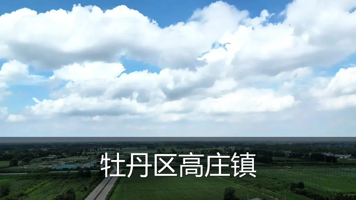牡丹区高庄镇